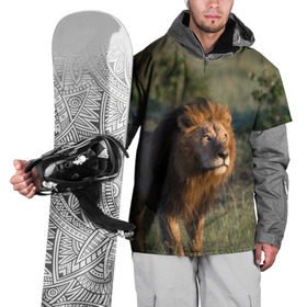 Накидка на куртку 3D с принтом Лев в Петрозаводске, 100% полиэстер |  | амурский | животные | киса | кот | котенок | кошка | лев | львица | пума | рысь | серый | тигр | хищник