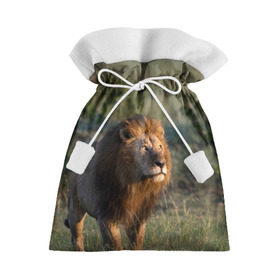 Подарочный 3D мешок с принтом Лев в Петрозаводске, 100% полиэстер | Размер: 29*39 см | амурский | животные | киса | кот | котенок | кошка | лев | львица | пума | рысь | серый | тигр | хищник