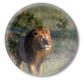 Значок с принтом Лев в Петрозаводске,  металл | круглая форма, металлическая застежка в виде булавки | Тематика изображения на принте: амурский | животные | киса | кот | котенок | кошка | лев | львица | пума | рысь | серый | тигр | хищник