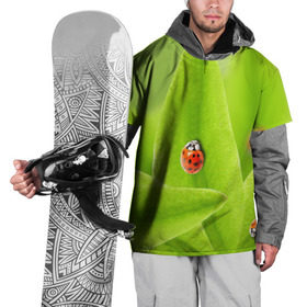 Накидка на куртку 3D с принтом Жучки на травке в Петрозаводске, 100% полиэстер |  | жук | зеленый | зелень | красный | насекомые | природа
