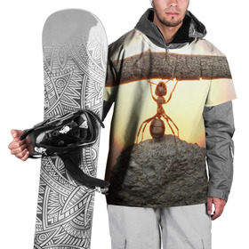 Накидка на куртку 3D с принтом Муравей в Петрозаводске, 100% полиэстер |  | ветка | жук | закат | камень | муравей | насекомые | природа