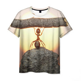 Мужская футболка 3D с принтом Муравей в Петрозаводске, 100% полиэфир | прямой крой, круглый вырез горловины, длина до линии бедер | ветка | жук | закат | камень | муравей | насекомые | природа
