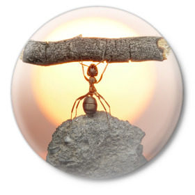 Значок с принтом Муравей в Петрозаводске,  металл | круглая форма, металлическая застежка в виде булавки | ветка | жук | закат | камень | муравей | насекомые | природа