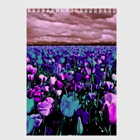 Скетчбук с принтом Поле тюльпанов в Петрозаводске, 100% бумага
 | 48 листов, плотность листов — 100 г/м2, плотность картонной обложки — 250 г/м2. Листы скреплены сверху удобной пружинной спиралью | flower | весна | поле | полевой цветок | природа | цветочки | цветы