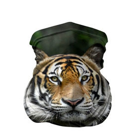 Бандана-труба 3D с принтом Тигр в джунглях в Петрозаводске, 100% полиэстер, ткань с особыми свойствами — Activecool | плотность 150‒180 г/м2; хорошо тянется, но сохраняет форму | амурский | животные | зверь | киса | кот | котенок | кошка | тигр | хищник