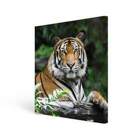 Холст квадратный с принтом Тигр в джунглях в Петрозаводске, 100% ПВХ |  | амурский | животные | зверь | киса | кот | котенок | кошка | тигр | хищник