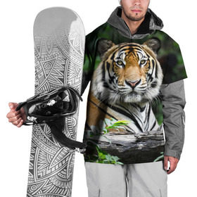 Накидка на куртку 3D с принтом Тигр в джунглях в Петрозаводске, 100% полиэстер |  | амурский | животные | зверь | киса | кот | котенок | кошка | тигр | хищник