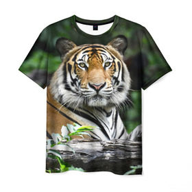 Мужская футболка 3D с принтом Тигр в джунглях в Петрозаводске, 100% полиэфир | прямой крой, круглый вырез горловины, длина до линии бедер | амурский | животные | зверь | киса | кот | котенок | кошка | тигр | хищник