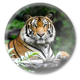 Значок с принтом Тигр в джунглях в Петрозаводске,  металл | круглая форма, металлическая застежка в виде булавки | амурский | животные | зверь | киса | кот | котенок | кошка | тигр | хищник