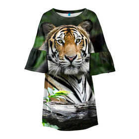 Детское платье 3D с принтом Тигр в джунглях в Петрозаводске, 100% полиэстер | прямой силуэт, чуть расширенный к низу. Круглая горловина, на рукавах — воланы | Тематика изображения на принте: амурский | животные | зверь | киса | кот | котенок | кошка | тигр | хищник