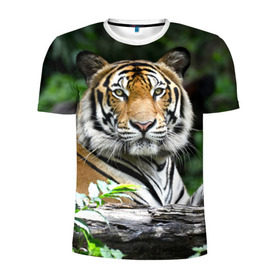 Мужская футболка 3D спортивная с принтом Тигр в джунглях в Петрозаводске, 100% полиэстер с улучшенными характеристиками | приталенный силуэт, круглая горловина, широкие плечи, сужается к линии бедра | Тематика изображения на принте: амурский | животные | зверь | киса | кот | котенок | кошка | тигр | хищник