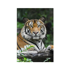 Обложка для паспорта матовая кожа с принтом Тигр в джунглях в Петрозаводске, натуральная матовая кожа | размер 19,3 х 13,7 см; прозрачные пластиковые крепления | Тематика изображения на принте: амурский | животные | зверь | киса | кот | котенок | кошка | тигр | хищник