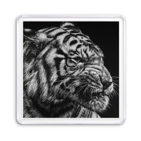 Магнит 55*55 с принтом Тигр в Петрозаводске, Пластик | Размер: 65*65 мм; Размер печати: 55*55 мм | амурский | животные | зверь | киса | кот | котенок | кошка | серый | тигр | тигренок | хищник
