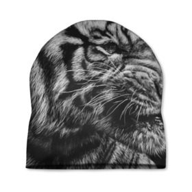 Шапка 3D с принтом Тигр в Петрозаводске, 100% полиэстер | универсальный размер, печать по всей поверхности изделия | Тематика изображения на принте: амурский | животные | зверь | киса | кот | котенок | кошка | серый | тигр | тигренок | хищник