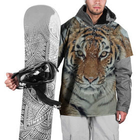Накидка на куртку 3D с принтом Тигр в Петрозаводске, 100% полиэстер |  | Тематика изображения на принте: амурский | животные | зверь | киса | кот | котенок | кошка | тигр | хищник