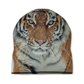 Шапка 3D с принтом Тигр в Петрозаводске, 100% полиэстер | универсальный размер, печать по всей поверхности изделия | амурский | животные | зверь | киса | кот | котенок | кошка | тигр | хищник