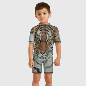 Детский купальный костюм 3D с принтом Тигр в Петрозаводске, Полиэстер 85%, Спандекс 15% | застежка на молнии на спине | амурский | животные | зверь | киса | кот | котенок | кошка | тигр | хищник