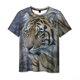 Мужская футболка 3D с принтом Тигр в Петрозаводске, 100% полиэфир | прямой крой, круглый вырез горловины, длина до линии бедер | амурский | животные | зверь | киса | кот | котенок | кошка | тигр | хищник