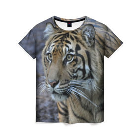 Женская футболка 3D с принтом Тигр в Петрозаводске, 100% полиэфир ( синтетическое хлопкоподобное полотно) | прямой крой, круглый вырез горловины, длина до линии бедер | амурский | животные | зверь | киса | кот | котенок | кошка | тигр | хищник