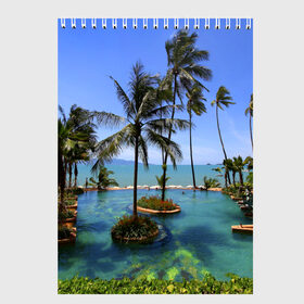 Скетчбук с принтом Таиланд в Петрозаводске, 100% бумага
 | 48 листов, плотность листов — 100 г/м2, плотность картонной обложки — 250 г/м2. Листы скреплены сверху удобной пружинной спиралью | clouds | hiking | sea | sky | swimming pool | thailand | trees | бассейн | море | небо | облака | пальмы | таиланд | туризм