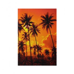 Обложка для паспорта матовая кожа с принтом Таиланд в Петрозаводске, натуральная матовая кожа | размер 19,3 х 13,7 см; прозрачные пластиковые крепления | clouds | nature | palms | sky | sunset | thailand | tourism | закат | небо | облака | пальмы | природа | таиланд | туризм
