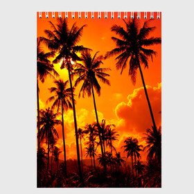 Скетчбук с принтом Таиланд в Петрозаводске, 100% бумага
 | 48 листов, плотность листов — 100 г/м2, плотность картонной обложки — 250 г/м2. Листы скреплены сверху удобной пружинной спиралью | clouds | nature | palms | sky | sunset | thailand | tourism | закат | небо | облака | пальмы | природа | таиланд | туризм