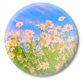 Значок с принтом Ромашка в Петрозаводске,  металл | круглая форма, металлическая застежка в виде булавки | flower | лето | полевой цветок | цветочки | цветы