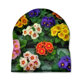 Шапка 3D с принтом Фиалки в Петрозаводске, 100% полиэстер | универсальный размер, печать по всей поверхности изделия | flower | лето | поле | полевой цветок | цветочки | цветы