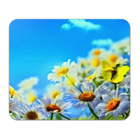 Коврик прямоугольный с принтом Ромашка полевая в Петрозаводске, натуральный каучук | размер 230 х 185 мм; запечатка лицевой стороны | flower | лето | поле | полевой цветок | цветочки | цветы