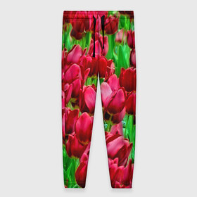 Женские брюки 3D с принтом Поле цветов в Петрозаводске, полиэстер 100% | прямой крой, два кармана без застежек по бокам, с мягкой трикотажной резинкой на поясе и по низу штанин. В поясе для дополнительного комфорта — широкие завязки | flower | весна | красные | цветочки | цветы