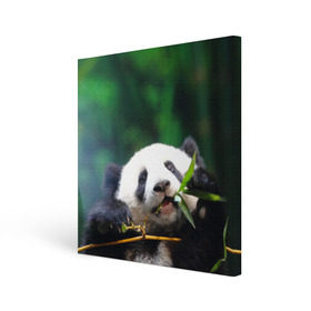 Холст квадратный с принтом Панда на ветке в Петрозаводске, 100% ПВХ |  | Тематика изображения на принте: животные | лес | медведь | медвежонок | панда | природа