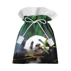 Подарочный 3D мешок с принтом Панда на ветке в Петрозаводске, 100% полиэстер | Размер: 29*39 см | Тематика изображения на принте: животные | лес | медведь | медвежонок | панда | природа