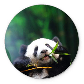 Коврик круглый с принтом Панда на ветке в Петрозаводске, резина и полиэстер | круглая форма, изображение наносится на всю лицевую часть | Тематика изображения на принте: животные | лес | медведь | медвежонок | панда | природа
