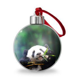 Ёлочный шар с принтом Панда на ветке в Петрозаводске, Пластик | Диаметр: 77 мм | Тематика изображения на принте: животные | лес | медведь | медвежонок | панда | природа
