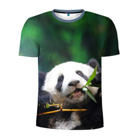 Мужская футболка 3D спортивная с принтом Панда на ветке в Петрозаводске, 100% полиэстер с улучшенными характеристиками | приталенный силуэт, круглая горловина, широкие плечи, сужается к линии бедра | животные | лес | медведь | медвежонок | панда | природа