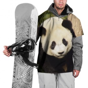 Накидка на куртку 3D с принтом Панда на дереве в Петрозаводске, 100% полиэстер |  | животные | лес | медведь | медвежонок | панда | природа