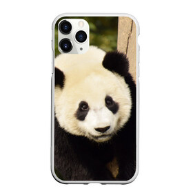 Чехол для iPhone 11 Pro матовый с принтом Панда на дереве в Петрозаводске, Силикон |  | животные | лес | медведь | медвежонок | панда | природа