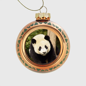 Стеклянный ёлочный шар с принтом Панда на дереве в Петрозаводске, Стекло | Диаметр: 80 мм | Тематика изображения на принте: животные | лес | медведь | медвежонок | панда | природа