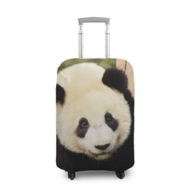 Чехол для чемодана 3D с принтом Панда на дереве в Петрозаводске, 86% полиэфир, 14% спандекс | двустороннее нанесение принта, прорези для ручек и колес | животные | лес | медведь | медвежонок | панда | природа