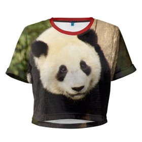 Женская футболка 3D укороченная с принтом Панда на дереве в Петрозаводске, 100% полиэстер | круглая горловина, длина футболки до линии талии, рукава с отворотами | животные | лес | медведь | медвежонок | панда | природа
