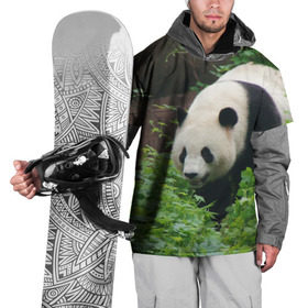 Накидка на куртку 3D с принтом Панда в лесу в Петрозаводске, 100% полиэстер |  | животные | лес | медведь | медвежонок | панда | природа