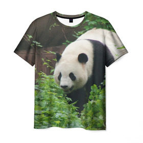 Мужская футболка 3D с принтом Панда в лесу в Петрозаводске, 100% полиэфир | прямой крой, круглый вырез горловины, длина до линии бедер | животные | лес | медведь | медвежонок | панда | природа