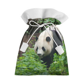 Подарочный 3D мешок с принтом Панда в лесу в Петрозаводске, 100% полиэстер | Размер: 29*39 см | Тематика изображения на принте: животные | лес | медведь | медвежонок | панда | природа