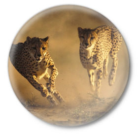 Значок с принтом Гепард в Петрозаводске,  металл | круглая форма, металлическая застежка в виде булавки | амурский | гепард | животные | зверь | киса | кот | котенок | кошка | лев | леопард | пума | рысь | серый | тигр | тигренок | хищник