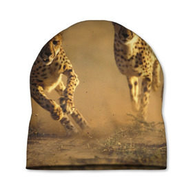 Шапка 3D с принтом Гепард в Петрозаводске, 100% полиэстер | универсальный размер, печать по всей поверхности изделия | Тематика изображения на принте: амурский | гепард | животные | зверь | киса | кот | котенок | кошка | лев | леопард | пума | рысь | серый | тигр | тигренок | хищник