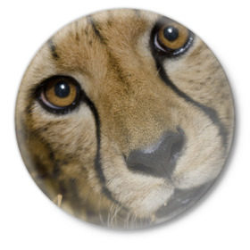 Значок с принтом Гепард в Петрозаводске,  металл | круглая форма, металлическая застежка в виде булавки | амурский | гепард | животные | зверь | киса | кот | котенок | кошка | лев | леопард | пума | рысь | серый | тигр | тигренок | хищник