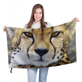 Флаг 3D с принтом Гепард в Петрозаводске, 100% полиэстер | плотность ткани — 95 г/м2, размер — 67 х 109 см. Принт наносится с одной стороны | амурский | гепард | животные | зверь | киса | кот | котенок | кошка | лев | леопард | пума | рысь | серый | тигр | тигренок | хищник