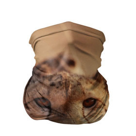 Бандана-труба 3D с принтом Гепард в Петрозаводске, 100% полиэстер, ткань с особыми свойствами — Activecool | плотность 150‒180 г/м2; хорошо тянется, но сохраняет форму | амурский | гепард | животные | зверь | киса | кот | котенок | кошка | лев | леопард | пума | рысь | серый | тигр | тигренок | хищник