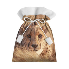 Подарочный 3D мешок с принтом Гепард в Петрозаводске, 100% полиэстер | Размер: 29*39 см | Тематика изображения на принте: амурский | гепард | животные | зверь | киса | кот | котенок | кошка | лев | леопард | пума | рысь | серый | тигр | тигренок | хищник