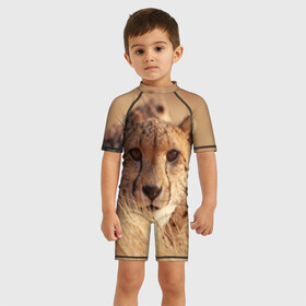 Детский купальный костюм 3D с принтом Гепард в Петрозаводске, Полиэстер 85%, Спандекс 15% | застежка на молнии на спине | амурский | гепард | животные | зверь | киса | кот | котенок | кошка | лев | леопард | пума | рысь | серый | тигр | тигренок | хищник